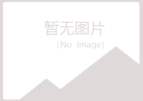 安图县迷失化学有限公司